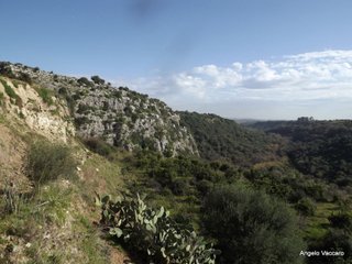 traro-30-12-2021 18-27-16